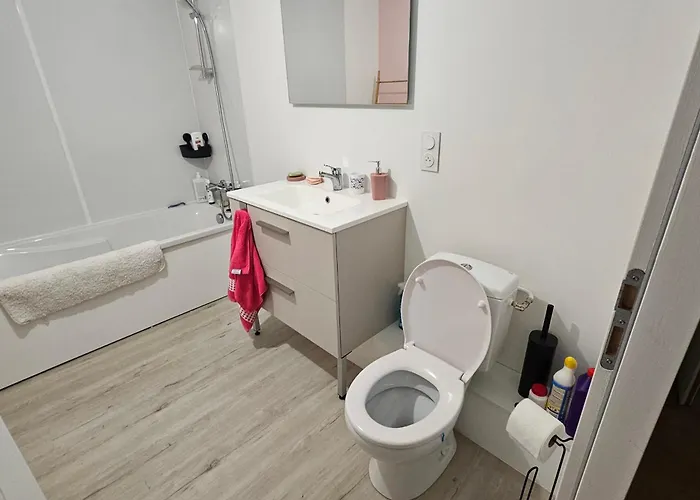 Grande Maison Avec Jardin Parking Proche De La